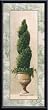Art Poster Metal Framed Print - Topiary & Toile lll - Artist: Welby- Poster Size: 20 X 8