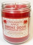 Odor Exterminator Candle Cinnamon Apple 13oz