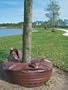 Ooze Tube Tree Watering Tube - 25 Gallon