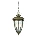 Westinghouse 69552 Takona Park Three-Light Exterior Pendant, Florentine Bronze with Clear Crystal Ribbed Globe