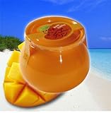 とろ生マンゴープリン　4個×1セット（1個・100ｇ）