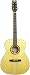 Washburn F10S 6-string Folk-body Acoustic Guitar