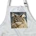 Maine Coon - Medium Length Apron With Pouch Pockets 22w X 24l