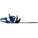 Einhell 3403825 Benzin-Heckenschere BG-PH 2652