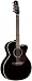 Musical Instruments : Takamine TF281DLX Jumbo Cutaway 12-String Acoustic-Electric Guitar