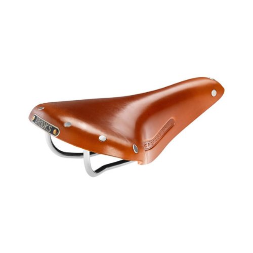 Brooks Saddles Team Professional Classic Bicycle Saddle with Tubular Rivets (Men's, Honey)