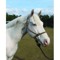 Rope Halter with Lead Average Brown / Tn - Part #: RHL AV BRTN