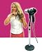 Hair Dryer Stand