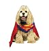 Search : Superman Pet Costume Large