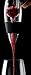 Vin02 -Wine Aerator-Award Winning Design- (See Image Gallery)