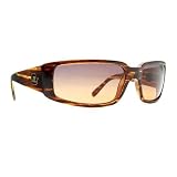 VON ZIPPER SHAM TORTOISE GRADIENT PLASTIC SUNGLASSES