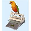 Digital Bird Scale With Perch