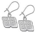 Dale Earnhardt Jr Ladies Earrings