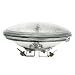 50 Watt PAR36 Landscape Outdoor Wide Flood