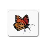 ButterfliesVocabularyCards