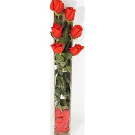 Silk Flowers rose bud red 18" dz �bx