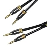 Dayton SCC Center Channel Speaker Cable w/Bananas 6 ft