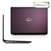 DELL Studio 1536 ���ʃp�b�P�[�W(�v�����E�p�[�v��)�@15.4�C���`/VistaPremium/4G/320G/Office