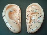 Acupuncture Ear Model 3  Small Set