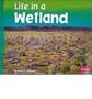 Life in a Wetland (Pebble Plus: Living in a Biome)