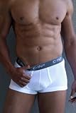C-in2 Kinetic Mesh Active Army Boxer-Brief for Men - White