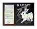 Asian Zodiac Poster Year of the Rabbit: Birth Years 1915 1927 1939 1951 1963 1975 1987 1999 2011