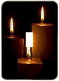 Light Switchplate Cover - Single Toggle - Metal-Designer Switch Plate: Christmas - Xmas - (SCSXM-007)
