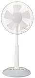 NEOVE メカ式30cmリビング扇 FTS30-4AM