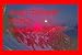 Electronics : 200mw Destructive Red Laser Pointer