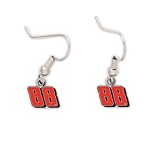 DALE EARNHARDT JR. OFFICIAL NASCAR LOGO EARRINGS