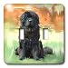 Dogs NewFoundLand - NewFoundLand - Light Switch Covers - double toggle switch