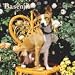 Basenjis 2009 Wall Calendar
