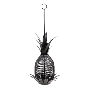 Outdoor Garden Backyard Pineapple Feeder