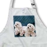 Dogs Maltese - Maltese - Aprons
