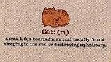 Cat: (n) Definition Durable Funny Indoor Outdoor Doormat