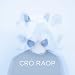 Raop [Vinyl LP]