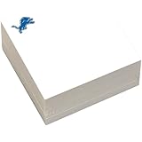 Turner Detroit Lions Sticky Notes, 3 x 3 Inches (8887111)