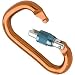 Black Diamond Rocklock Carabiner