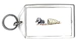 Keychain with bug, shell, insect, seashell, fly, animal