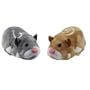 Zhu Zhu Pets Hamsters Set of 2 - Mr. Squiggles and Num Nums