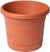 Coastal Planters #AR0812TC 8\