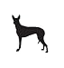 Hound Dog Pet Pharaoh Hound Car Truck Vehicle Bumper Helmet Decal Sticker Wall Art Laptop Design Skin Stickers