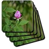 Delicate Pink Rose Bud Pink Rose Bud - Set Of 8 Coasters - Soft