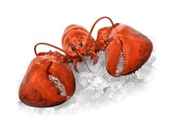 Boston Bob's Live Lobster
