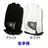 Kasco�i�L���X�R�j�E��p�i���t�e�B�p�j�X�F�[�h��������v�S���t�O���[�u 5���Z�b�g RR-015