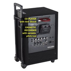 Wireless Travel Audio Pro