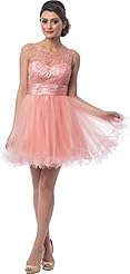 Sheer Applique Short Prom Dress  With a Ribbon 