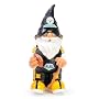 Pittsburgh Steelers Super Bowl XLIII Champions Garden Gnome