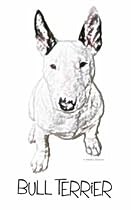 Bull Terrier (photo sketch) Bib and Onesie