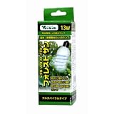 ビバリア フォレストサン１３Ｗ